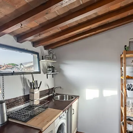 The Florentine Rooftop - Santo Spirito Experience Apartment Florence
